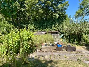 Allotment Area- click for photo gallery